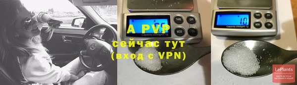 винт Абаза