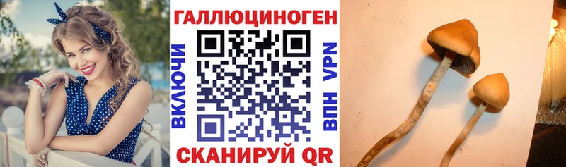 ОМГ ОМГ зеркало  Дубна  Галлюциногенные грибы GOLDEN TEACHER 
